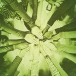 IPHCA Statewide Hill Day report