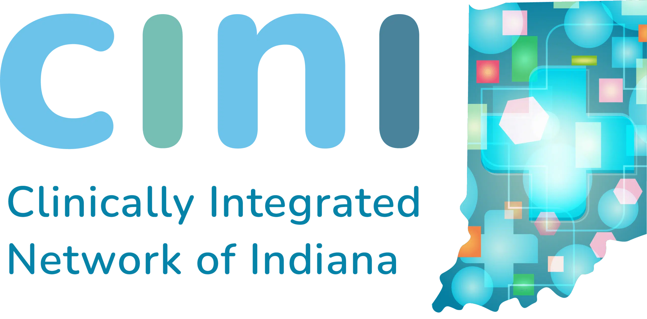 CINI Participant